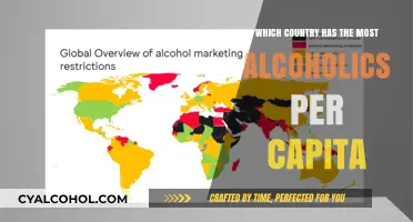 Global Alcohol Consumption: Which Nation Tops the Per Capita List?