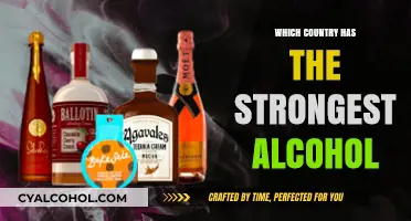 Exploring the World's Strongest Alcohol: Which Country Tops the List?