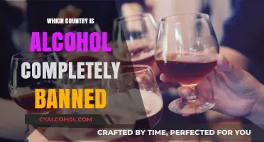 Global Dry Zones: Countries Where Alcohol is Completely Banned