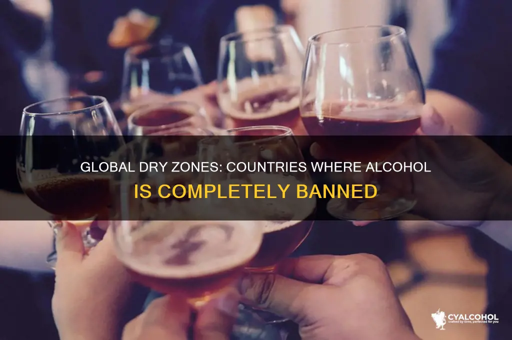 which country is alcohol completely banned