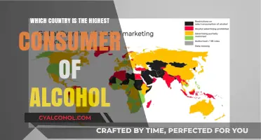 Global Alcohol Consumption: Which Nation Tops the Drinks Chart?
