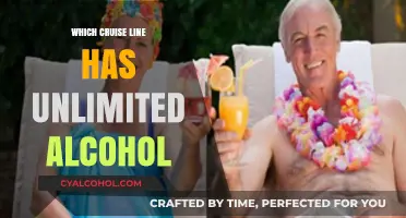 Cruise Lines Offering Unlimited Alcohol: Top Picks for Drink Lovers