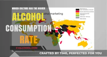 Global Alcohol Consumption: Which Culture Tops the Drinking Charts?
