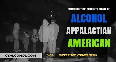 Appalachian American Culture: Alcohol Prohibition and Its Historical Roots