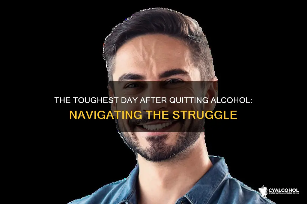 which day is the worst after quitting alcohol