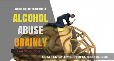 Alcohol Abuse and Brain Health: Uncovering Linked Diseases and Risks