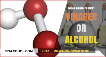 Vinegar vs. Alcohol: Which Disinfectant Works Best for Cleaning?