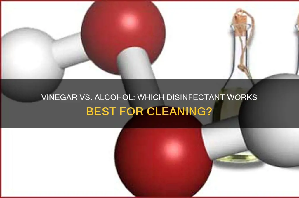 which disinfects bettet vinager or alcohol