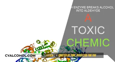 Alcohol's Journey: Enzymes and Aldehyde Toxicity