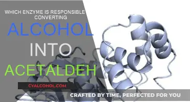 The Link Between Alcohol and Acetaldehyde: Enzyme's Role