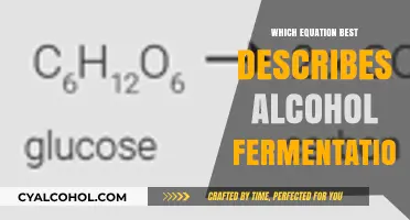 Understanding Alcohol Fermentation: The Optimal Chemical Equation Explained