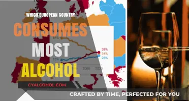 Europe's Top Alcohol Consumer: Which Country Leads the Pack?
