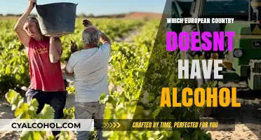 Sober Surprises: The European Nation Without Alcohol Revealed