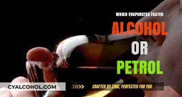 Alcohol vs. Petrol: Which Evaporates Faster and Why?