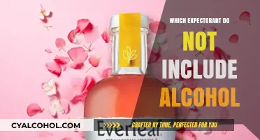Alcohol-Free Expectorant Options: Safe and Effective Mucus Relief Choices
