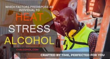 Alcohol's Impact: Heat Stress and Individual Factors