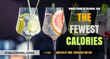 Low-Calorie Alcohol Guide: Discover the Lightest Drink Options