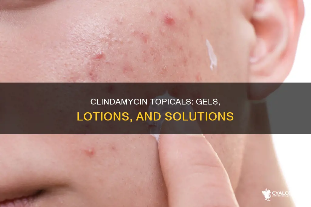 which form of topical clindamycin is best gel lotion alcohol