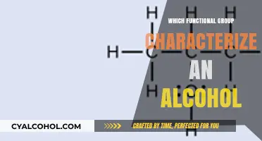 Identifying Alcohols: The Role of the Hydroxyl Functional Group