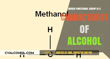 Understanding Alcohols: The Hydroxyl Group as Their Defining Functional Group