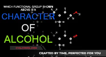 Functional Groups: Identifying Alcohol's Signature Traits