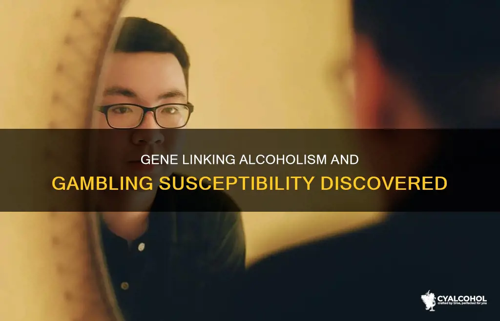 which gene signals a susceptibility to both alcoholism and gambling