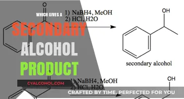 Understanding Reactions: Which Processes Yield Secondary Alcohol Products?