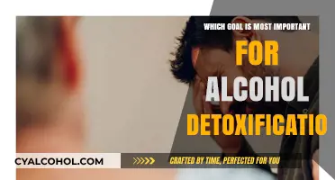 Prioritizing Goals for Alcohol Detoxification: What Matters Most for Recovery