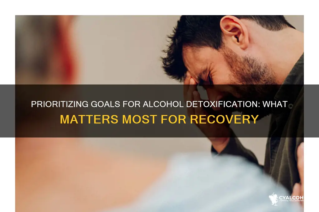 which goal is most important for alcohol detoxification