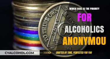 Sobriety First: Alcoholics Anonymous' Primary Goal for Lasting Recovery