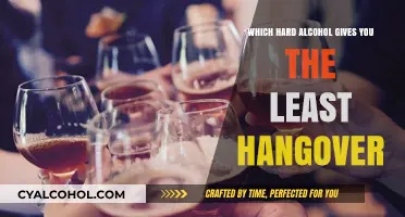 Discover the Hard Alcohol with the Mildest Hangover Effects