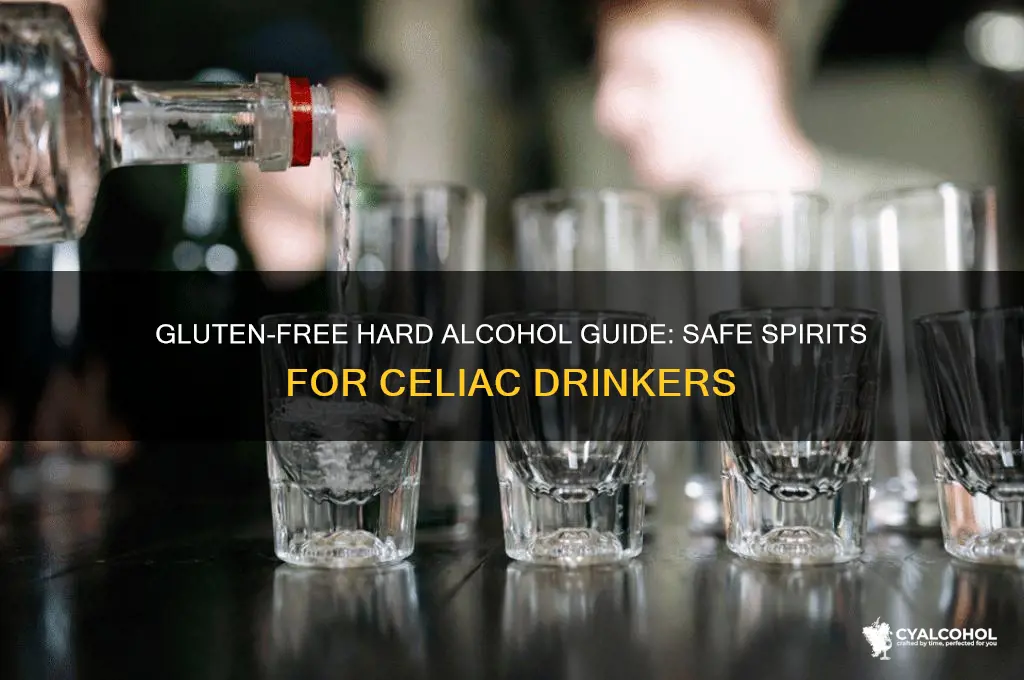 which hard alcohols are gluten free