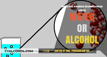 Water vs. Alcohol: Comparing Intermolecular Force Strengths and Properties