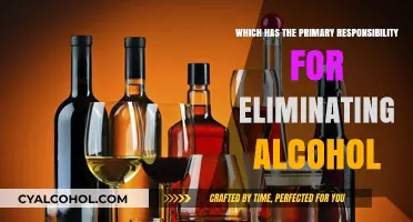Who Bears the Primary Responsibility for Eliminating Alcohol Consumption?