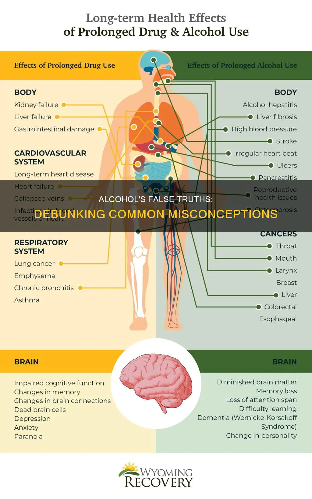 which if the following is not true of alcohol