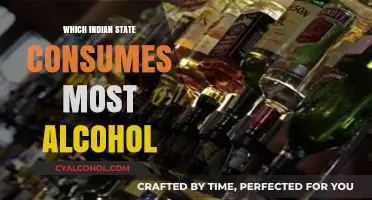 India's Top Alcohol-Consuming State: Surprising Insights and Trends