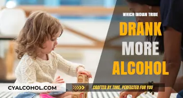 Exploring Alcohol Consumption Among Native American Tribes in India