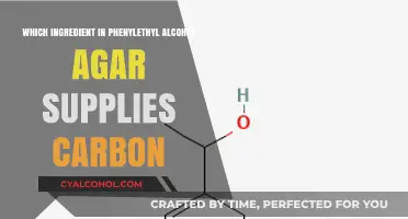 Carbon Source in Phenylethyl Alcohol Agar: Key Ingredient Revealed