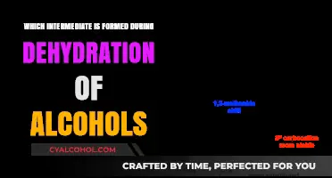 Dehydration of Alcohols: Unveiling the Key Intermediate Formation Process