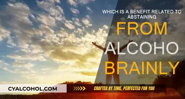 Abstaining from Alcohol: A Smart Move for Brain Health
