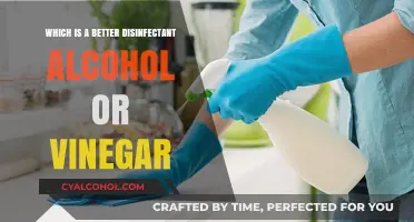 Alcohol vs. Vinegar: Which Disinfectant Works Best for Cleaning?