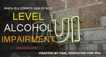 Buzzed Driving: A Common Sign of Alcohol Impairment