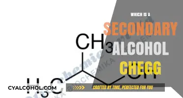 Understanding Secondary Alcohols: A Comprehensive Guide to Chegg's Insights