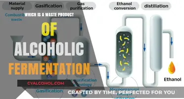 Unveiling the Primary Waste Product of Alcoholic Fermentation Process