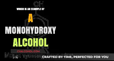 Understanding Monohydroxy Alcohols: A Simple Example Explained