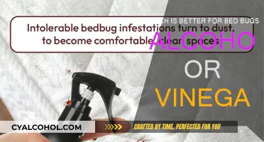 Alcohol or Vinegar: Which Kills Bed Bugs?