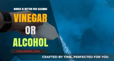 Vinegar vs. Alcohol: Which Cleaning Agent Wins for Your Home?