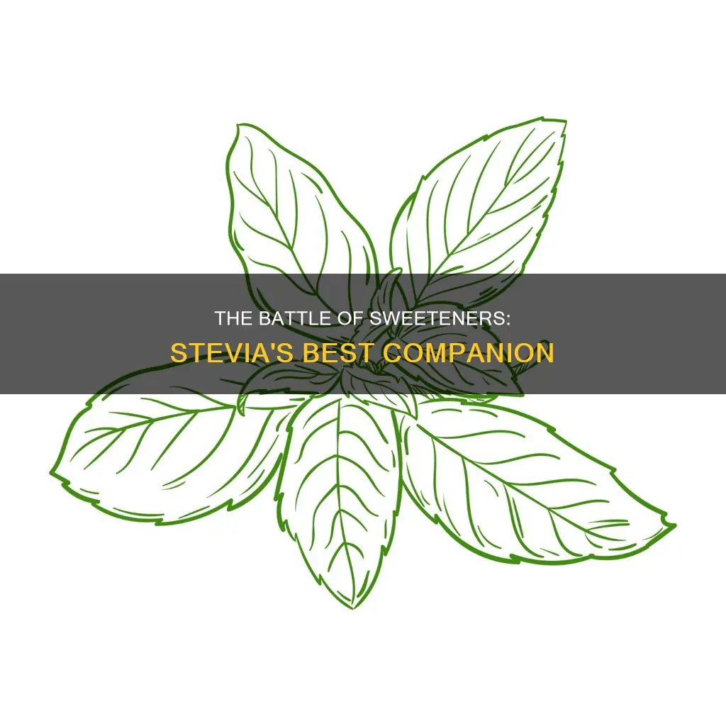 which is better stevia with glycerin or with alcohol