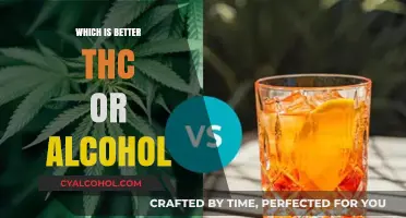 THC vs. Alcohol: Comparing Effects, Risks, and Benefits for Users