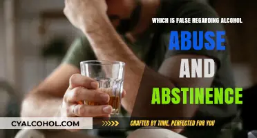 Debunking Myths: Alcohol Abuse and Abstinence Misconceptions Revealed